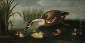 A Duck And Her Four Ducklings In A Stream Amongst Reeds