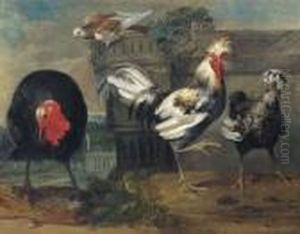 Two Crested Chickens, A Turkey And A Dove In An Architecturallandscape by Pieter Casteels