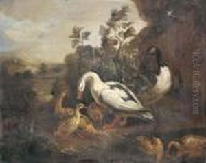 Ducks And A Goose In A Landscape