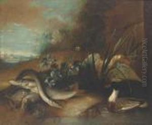 Dead Fish By A Pond With Ducks In A Wooded Clearing