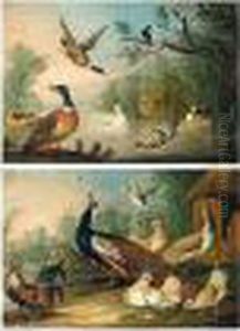 Peacock, Peahen And Other Fowl In A Landscape