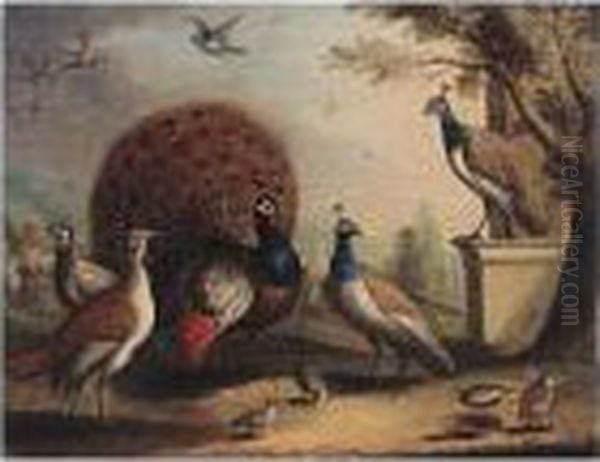 A Peacock And Peahens In An Ornamental Landscape - view 1
