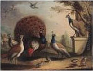 A Peacock And Peahens In An Ornamental Landscape by Pieter Casteels