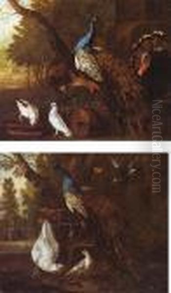 Assembly Of Birds In A Park - view 1