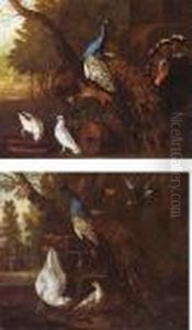 Assembly Of Birds In A Park