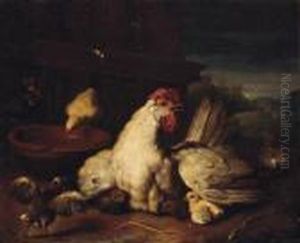 A Hen With Chicks In A Farmyard