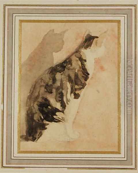 Study of a Cat 2 - view 1