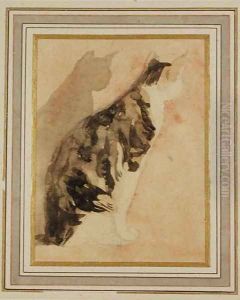 Study of a Cat 2 by Gwen John