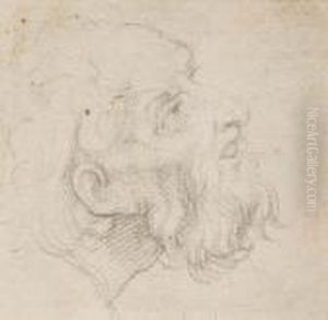 A Pair Of Grotesque Heads by Giovanni Benedetto Castiglione