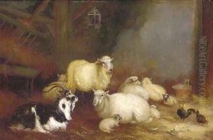 Sheep, chickens and a goat in a barn by A. Jackson