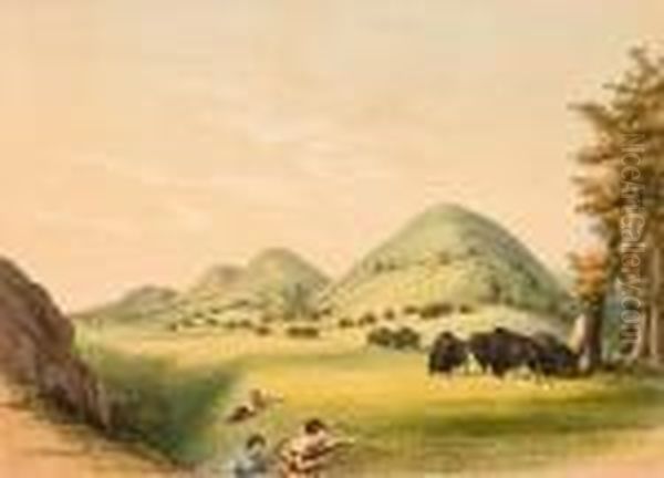 Buffalo Hunt, Surround - view 1