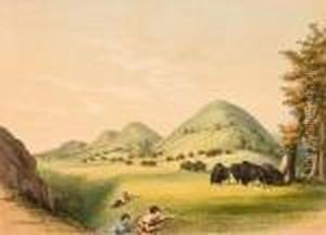 Buffalo Hunt, Surround by George Catlin