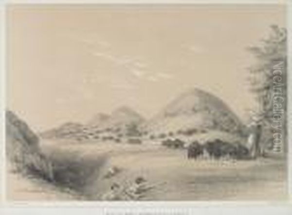 Buffalo Hunt, Approaching A Ravine, Pl. 11, From North American Indian - view 1