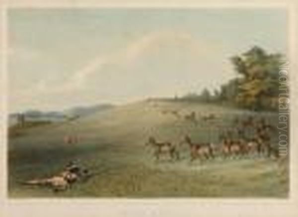 Antelope Shooting - view 1