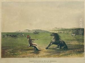 Capturing A Wild Horse by George Catlin