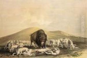Buffalo Hunt, Pl. 10, From North American Indian Portfolio by George Catlin
