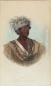 From James C. D'pritchard's Natural History Of Man by George Catlin