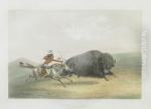 Buffalo Hunt Chase, Pl. 5 - view 1