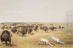 Buffalo Hunt - Under The White Wolf Skin by George Catlin