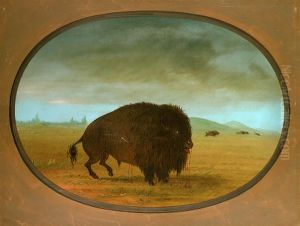 Wounded Buffalo Bull by George Catlin