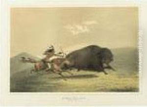 Buffalo Hunt, Chase; Buffalo Hunt, Chase And Antelope Shooting by George Catlin