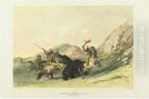 Buffalo Hunt, Surround And Attacking The Grizzly Bear by George Catlin