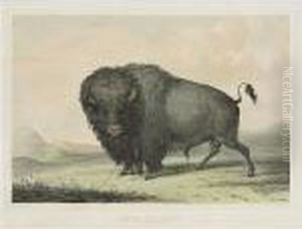 North American Indian Portfolio: Plates 1-25 - view 1