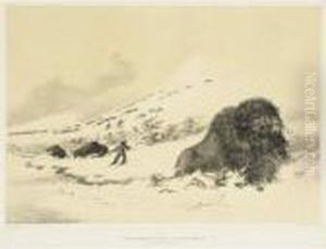 North American Indian Portfolio; Plates 12, 15, 17 And 22 by George Catlin