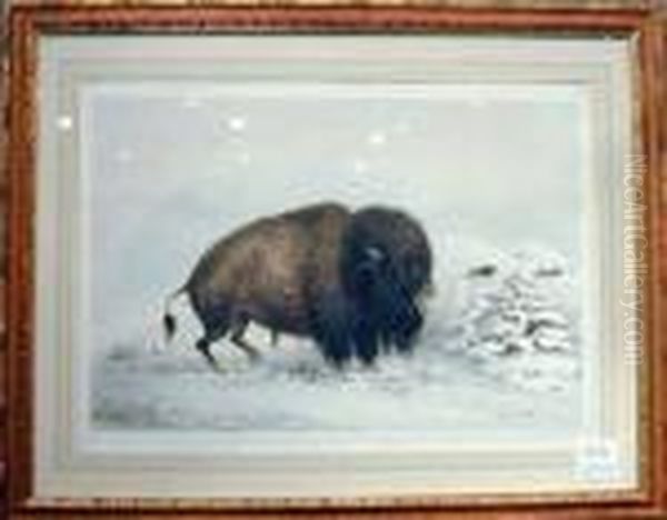 Buffalo Hunt - view 1