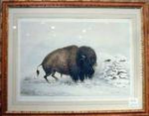 Buffalo Hunt by George Catlin