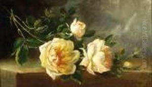 A Branch With White Roses