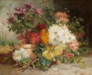 Chrysanthemum