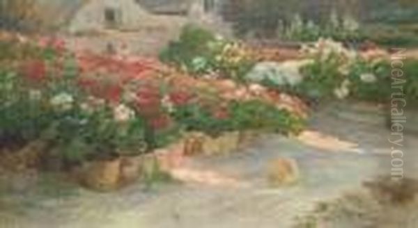 Jardin De Roses - view 1