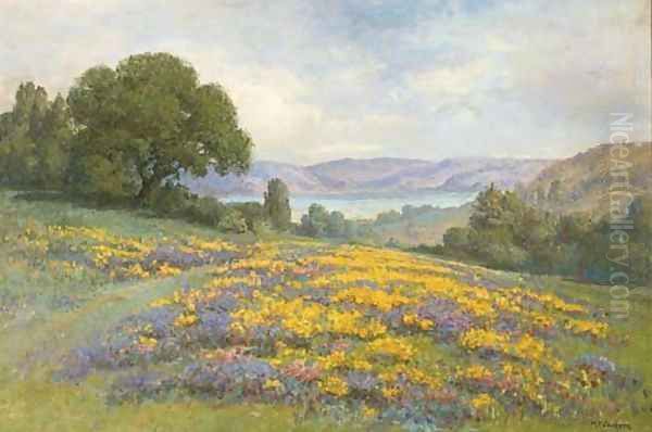 Poppy Field - view 1