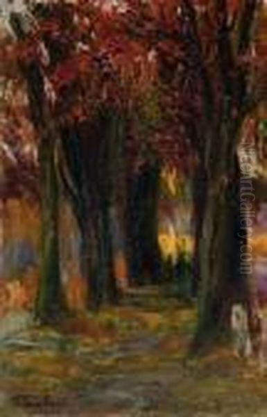 Nel Bosco - view 1