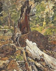 A Fallen Tree, Canyon Creek, Wyoming