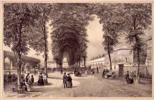 A View of the Jardins des Plantes by Jean Jacottet