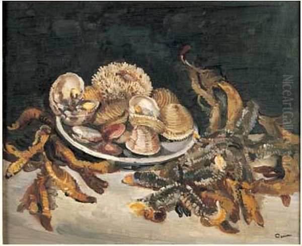 Coquillages - view 1
