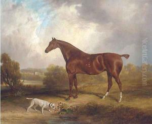 A chestnut hunter before a country house by Samuel John Egbert Jones