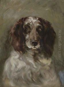 Portrait of a spaniel by Florence Jay