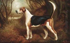 A favourite beagle by Herbert Jones