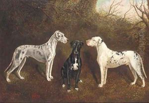 The Great Danes by Herbert Jones