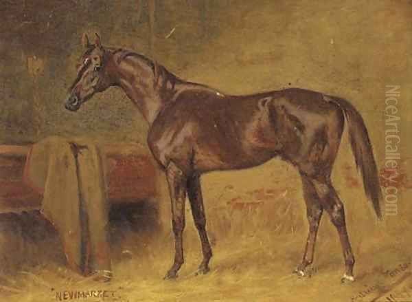 A chestnut racehorse in a stable - view 1