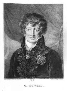 Portrait of Georges Cuvier 1769-1832 by Jacques