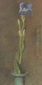 Purple iris