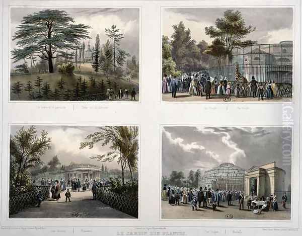 The Jardin des Plantes in Paris Cedar and the Labyrinth The Giraffe Pheasants Monkeys - view 1