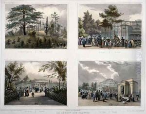 The Jardin des Plantes in Paris Cedar and the Labyrinth The Giraffe Pheasants Monkeys by Julien & Bayot, Adolphe Jacottet