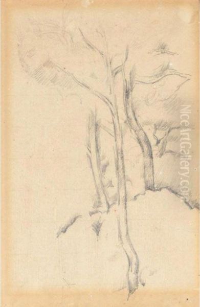 L'arbre - view 1