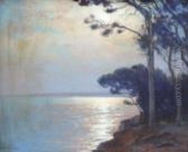 Paysage Mediterraneen Aux Pins - view 1