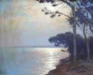 Paysage Mediterraneen Aux Pins